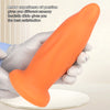 Dolphin Shaped Silicone Anal Toy