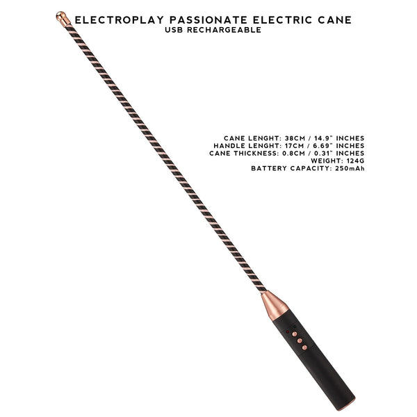Electric Whip Cane Paddle Baton Electroplay