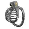 Abstinence penis lock CB lock male transvestite chastity cage
