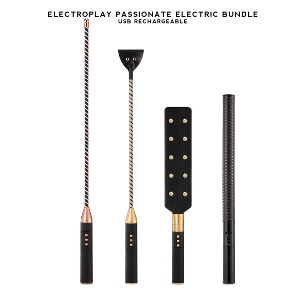 Electric Whip Cane Paddle Baton Electroplay