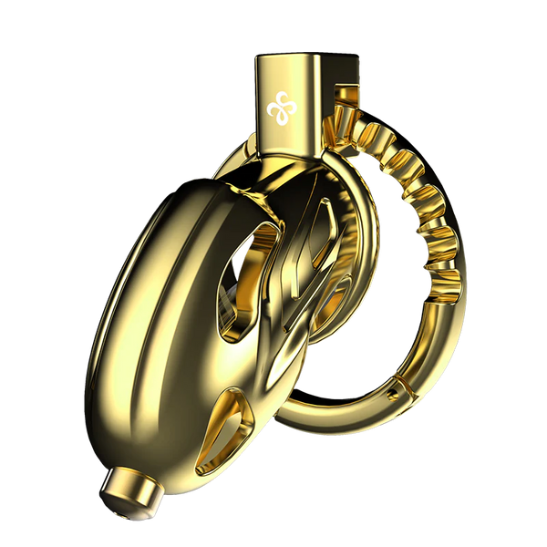 Sevanda Metal Outlaw Urethral Sounding Chastity Cage