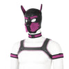 Neoprene Dog Full Face Head Mask Kit, Novelty Costume Pup Hood Mask with Collar and Strap