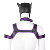 Neoprene Dog Full Face Head Mask Kit, Novelty Costume Pup Hood Mask with Collar and Strap