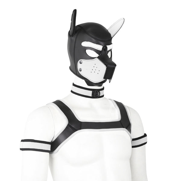 Neoprene Dog Full Face Head Mask Kit, Novelty Costume Pup Hood Mask with Collar and Strap