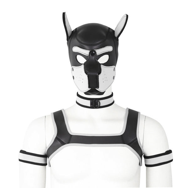 Neoprene Dog Full Face Head Mask Kit, Novelty Costume Pup Hood Mask with Collar and Strap