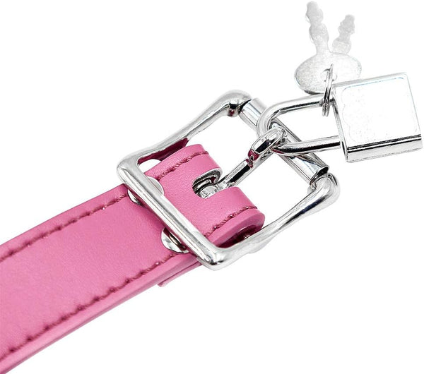 Lockable dildo gag with adjustable straps, realistic penis gag with lock