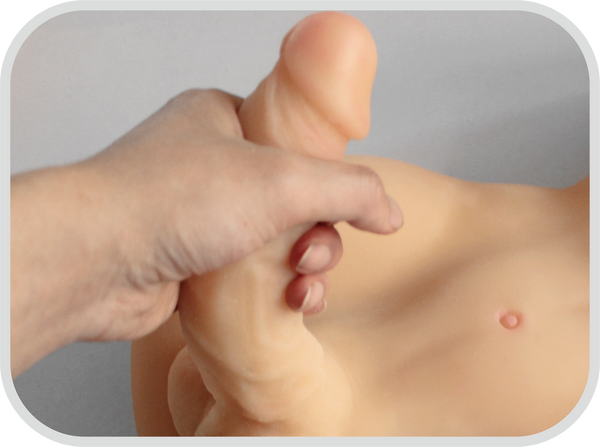 Sex Dolls Lifelike Sex Toys for Men and Women (Flesh Shemale)