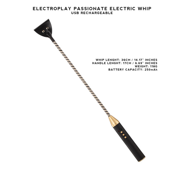 Electric Whip Cane Paddle Baton Electroplay