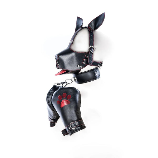 Bondage Mask Set: Faux Leather Pup Play Masks, Sex Roleplay Costumes with Paw Gloves and Harness for Adult Games