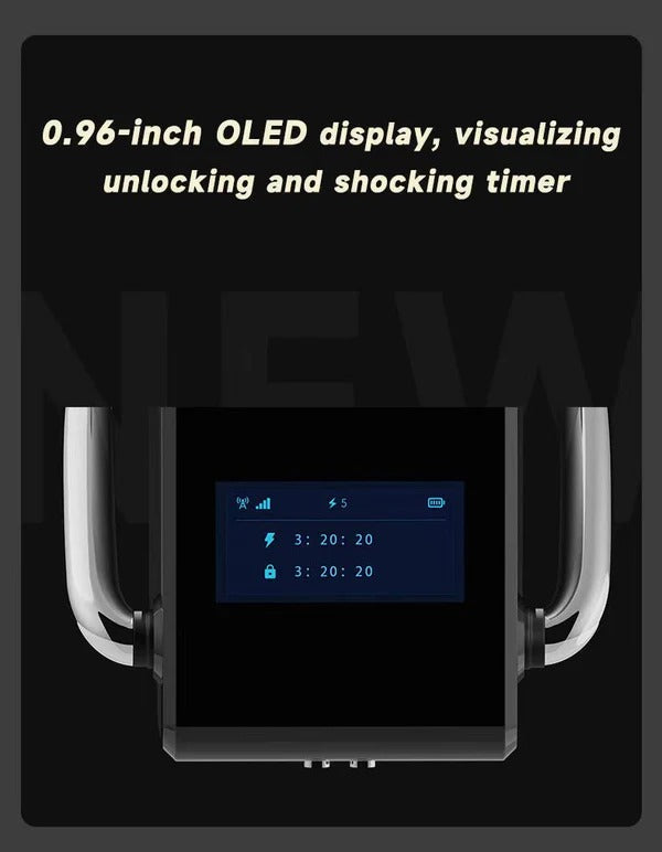 LOCKINK QIUI CAG·INK Pro Cellmate 3.0 Chastity Cage